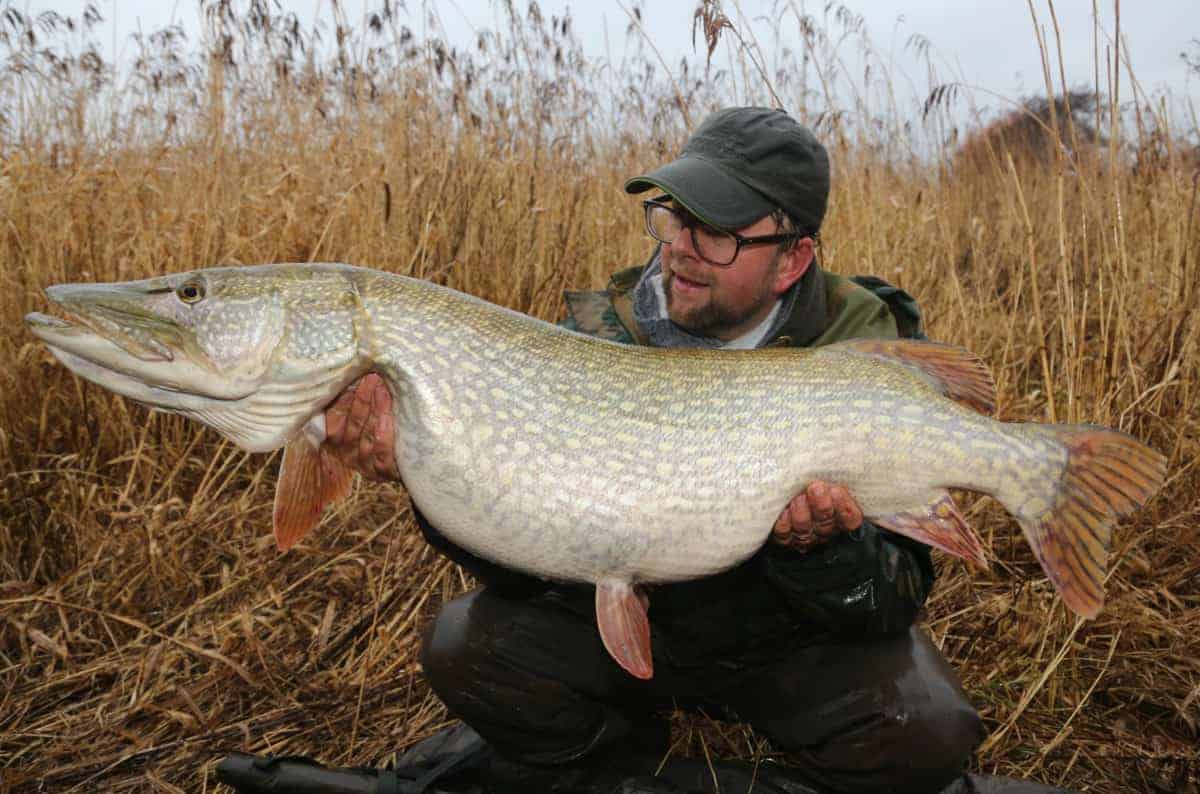 martin bowler with a giant pike
