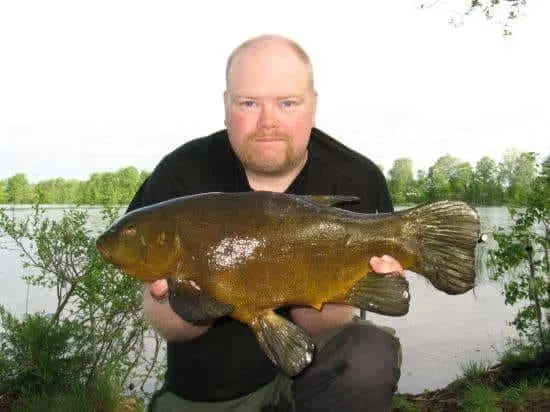 a coarse angler holding a giant male tench that he has caught on a lake