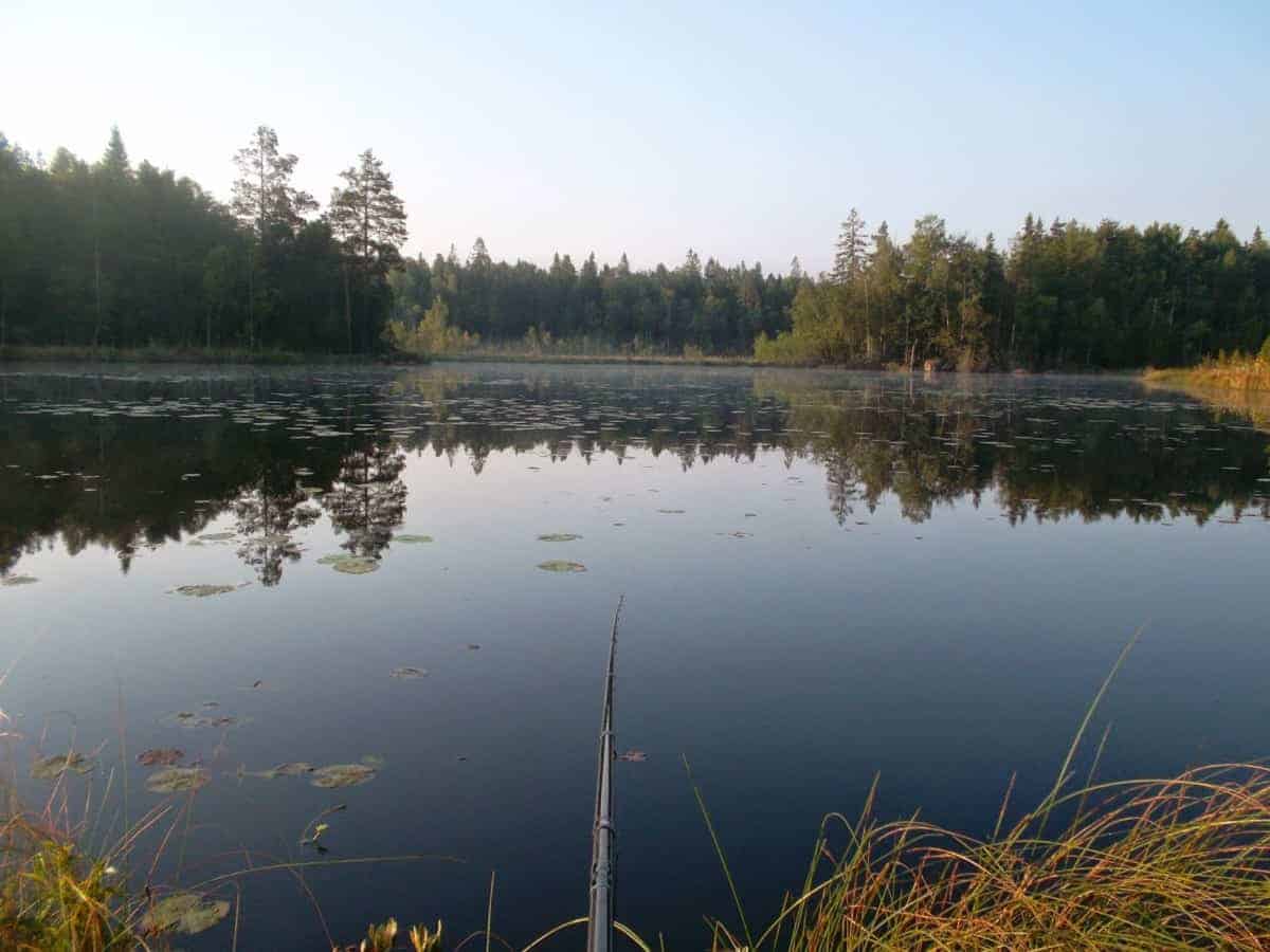 an image of a peaceful lake and a fishing pole