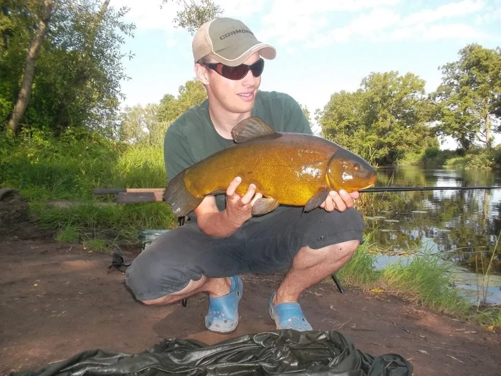 a specimen angler with a big and beautiful female tench
