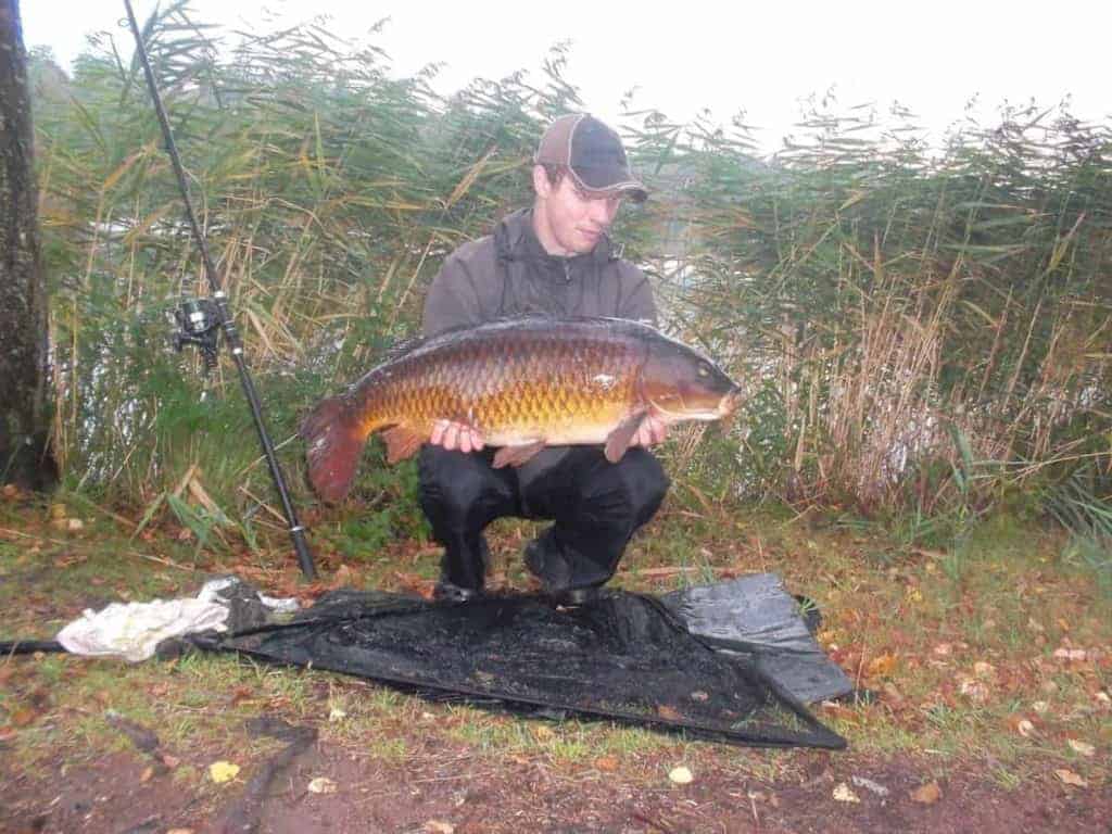 a fisherman holding a giant common carp that he has caught on a boilie