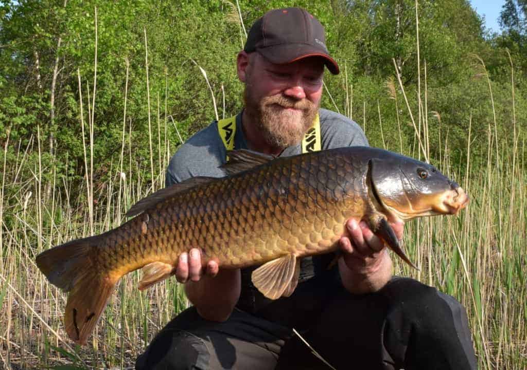 a happy fisherman holding a long and dark common carp