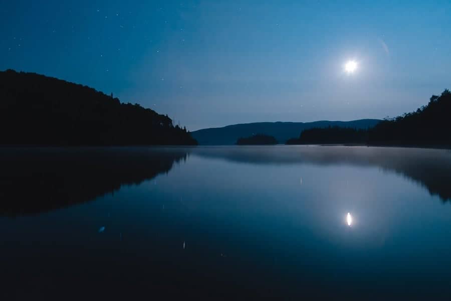 a beautiful forest lake at night