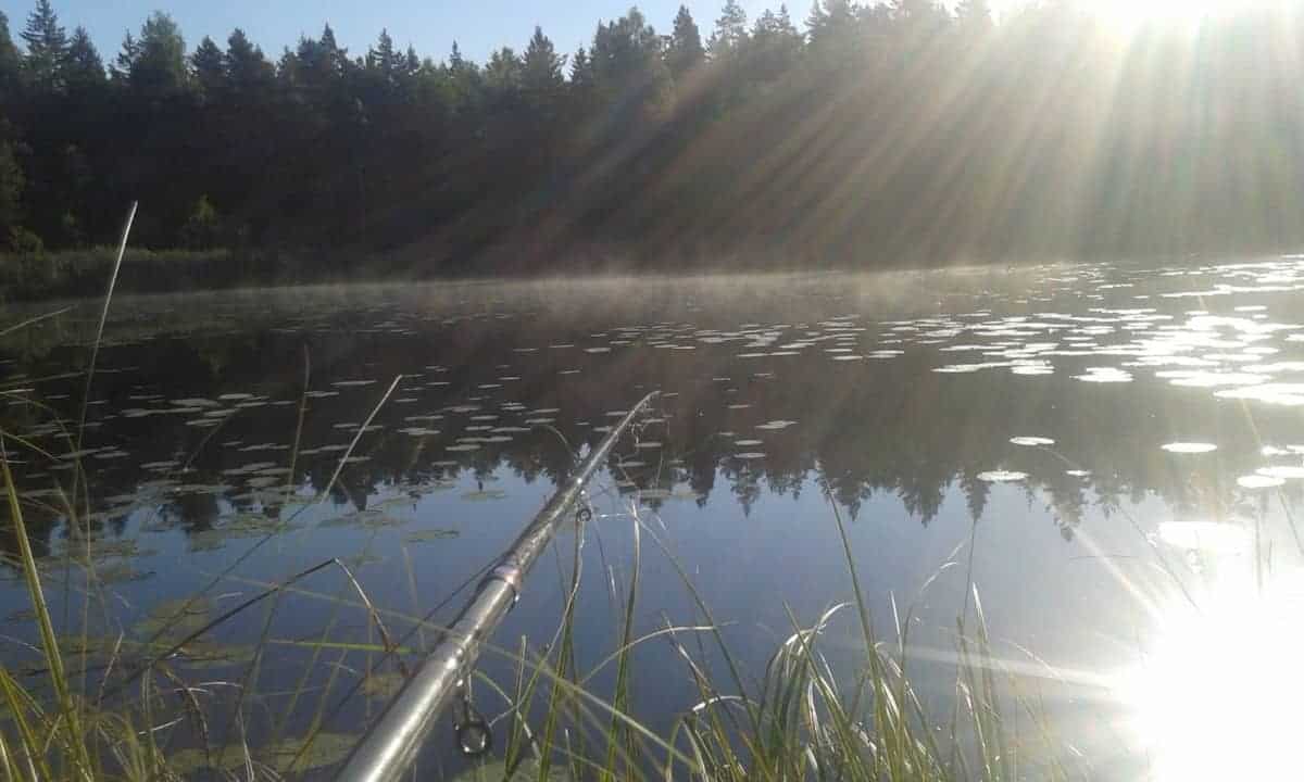 a picture of a fishing pole at a lake during sunrise