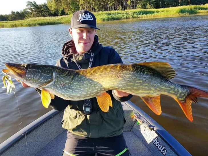 How to Fish for Saltwater Pike (A Complete Guide)