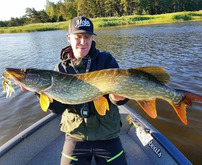 how to fish for saltwater pike
