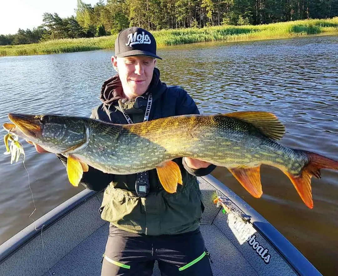 how to fish for saltwater pike
