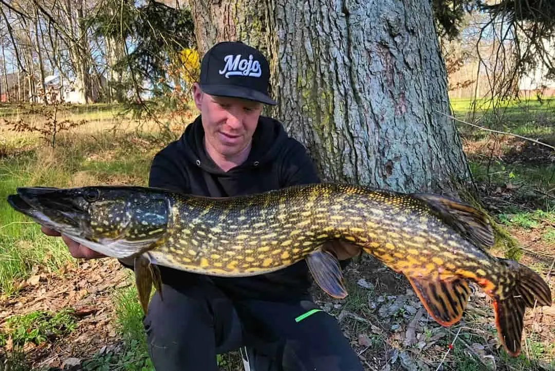 where to locate pike in saltwater