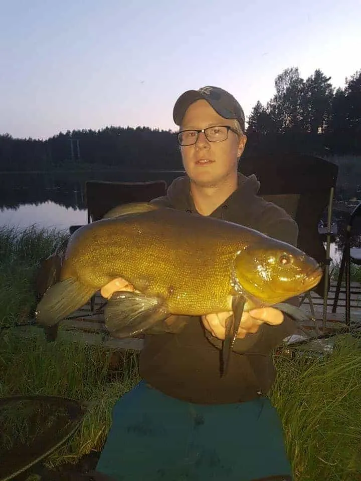 When should you start fishing for tench at night