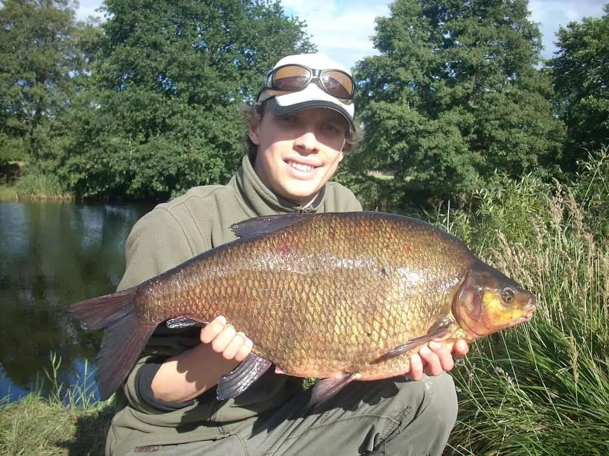 how to catch big river bream