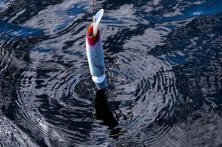 How To Fish With Lures