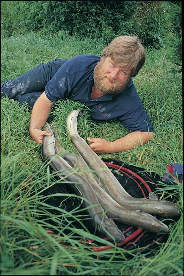 des taylor with three gigantic eels