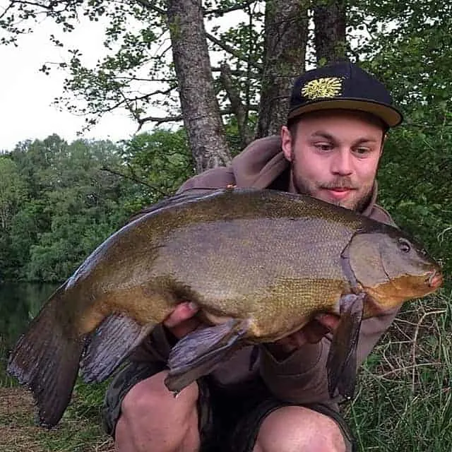 When to Use Boilies to Catch Tench