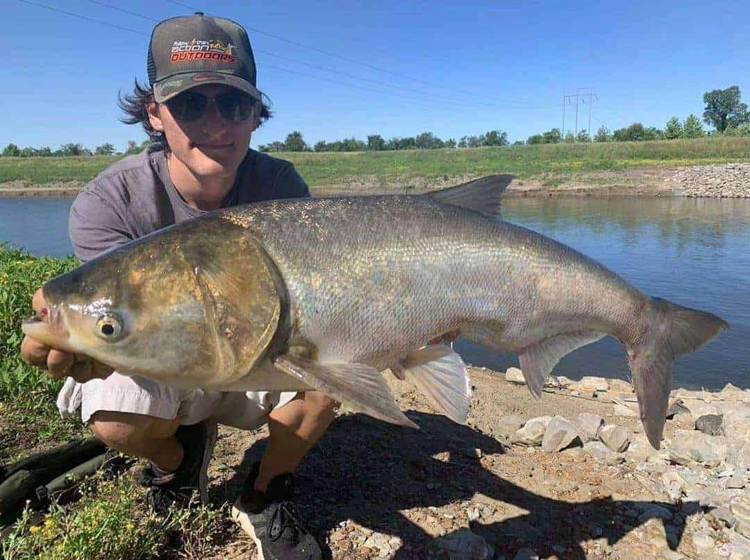 a US angler on a lake holding a giant silver carp