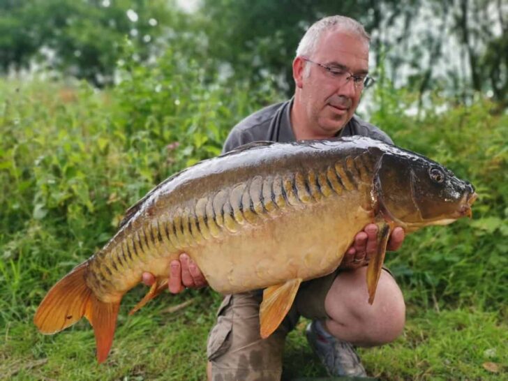 A Comprehensive Guide to the Most Popular Types of Carp