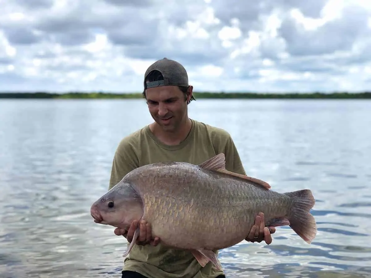 a North American angler holding a big fat buffalo fish while standing in the water
