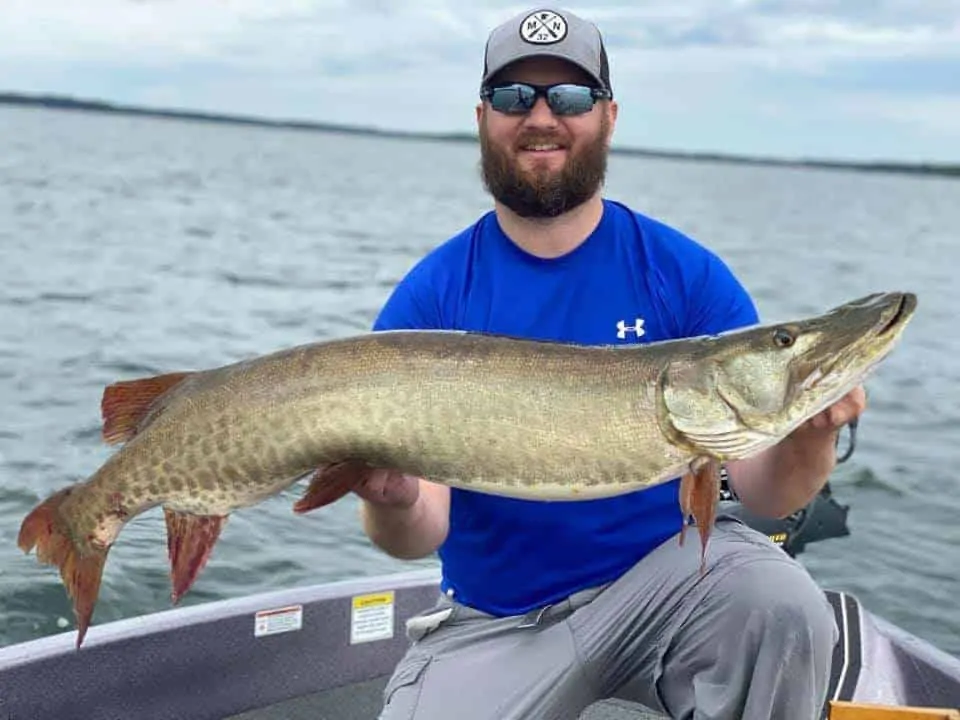 a fisherman on a boat holding a big musky that he has caught on a bucktail