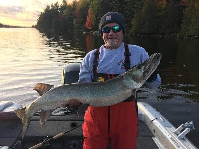 a canadian angler on his boat with a really big musky