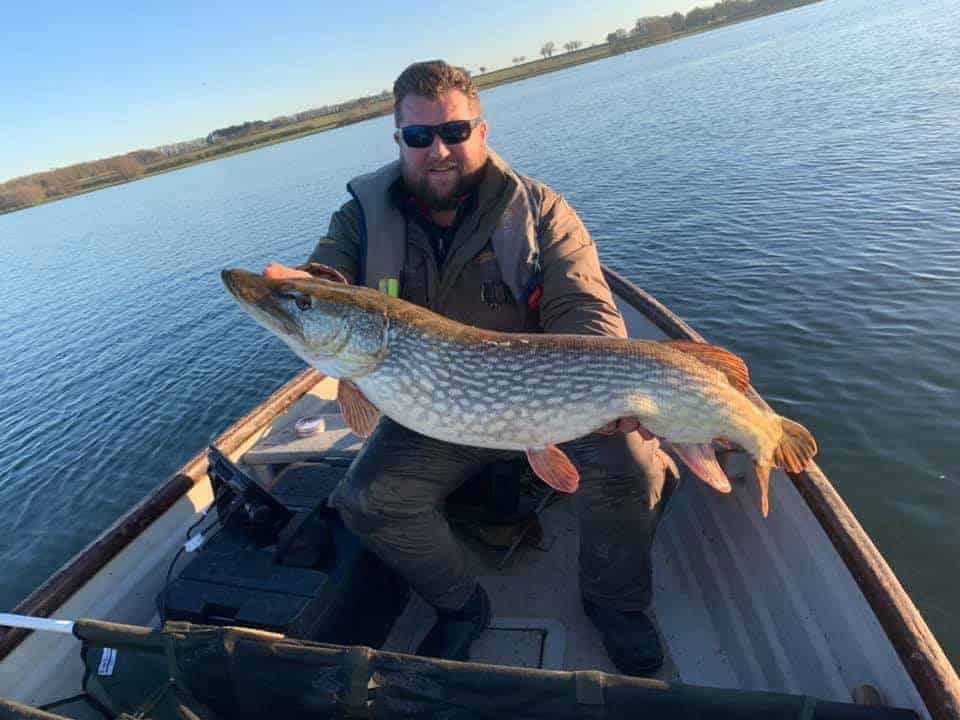An angler trolling for pike holding a very large northern pike that he has caught on a trolled live bait on a sunny day on the lake.