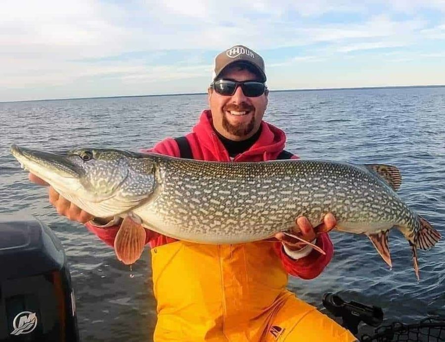 a predator angler on a boat holding a huge northern pike