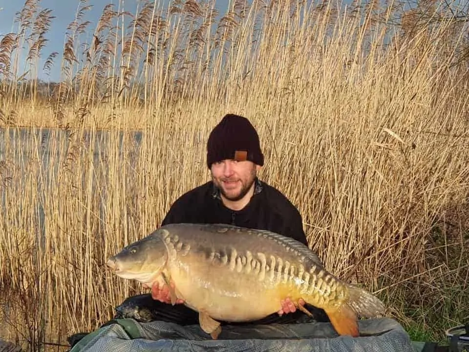 a carp angler with an unhooking mat holding a giant mirror carp that he has caught in a big lake