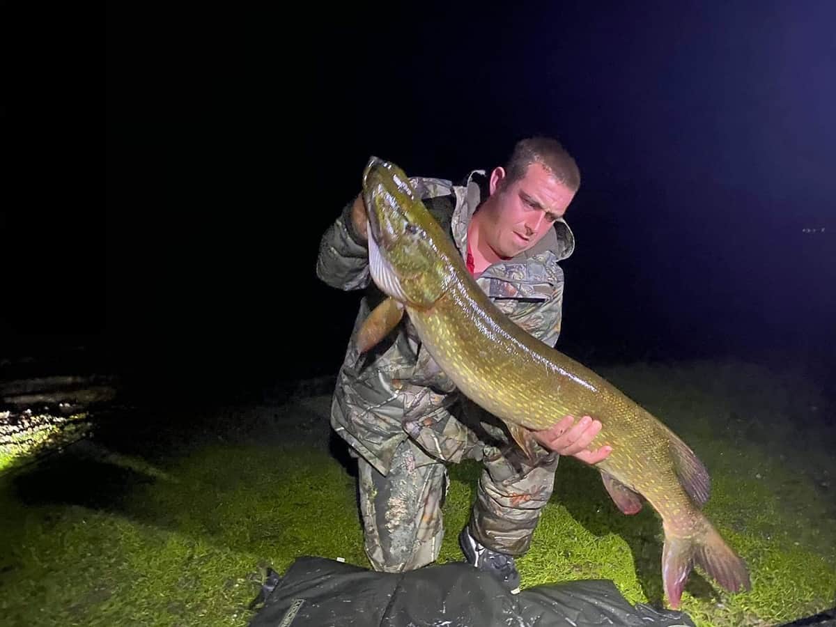 a fisherman holding a big pike that he has caught while night fishing with a lure