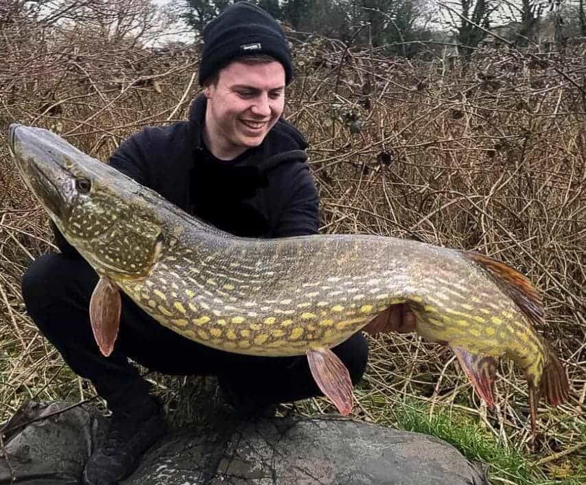 a happy predator angler holding a giant pike that he has caught in October
