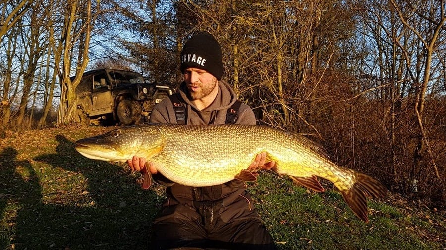 a fisherman holding a giant pike that he has caught while cold water fishing