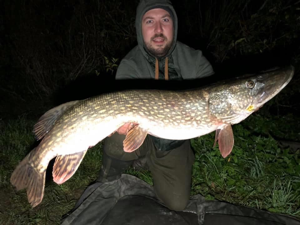 an angler holding a pike that he has caught on a dead bait rig while night fishing