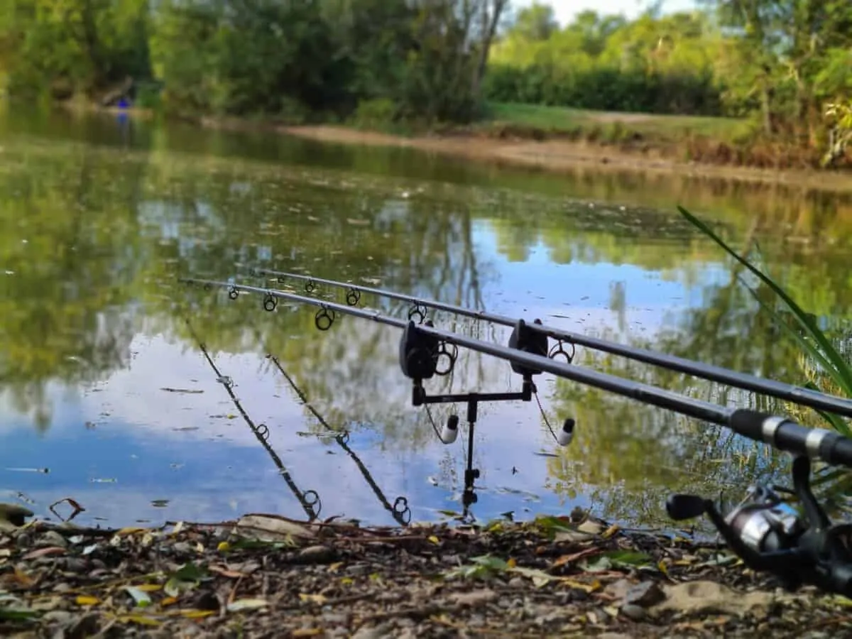 an image of a set of two carp rods on a rod pod with bite alarms