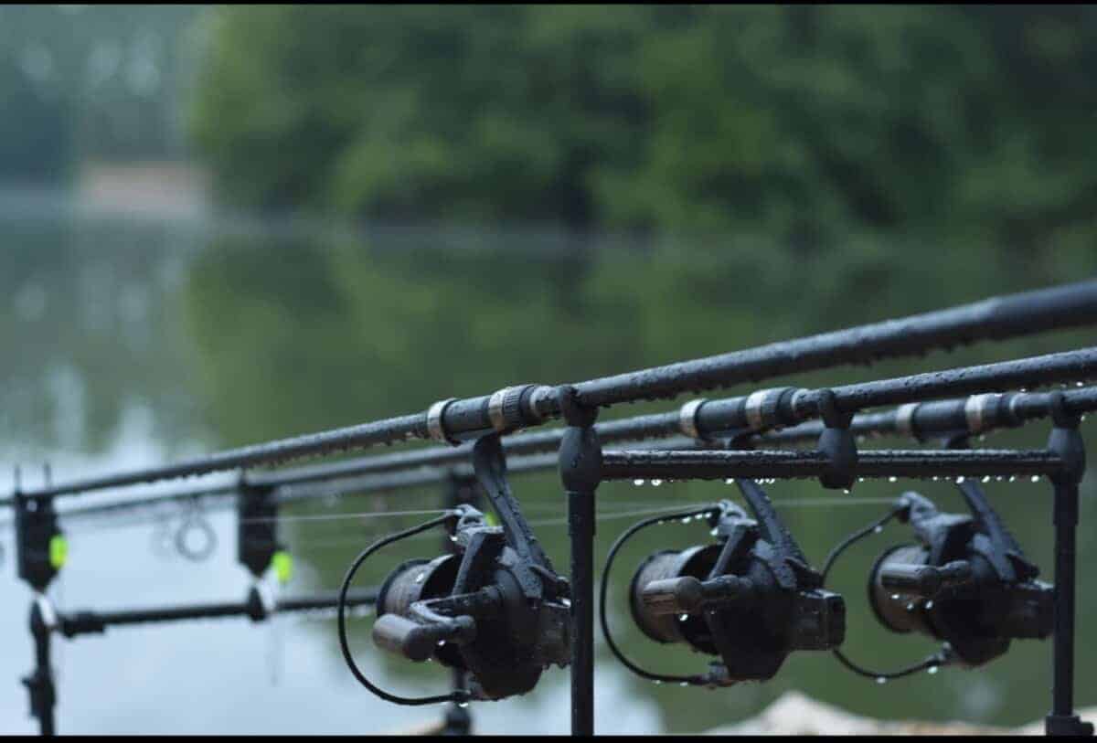 three carp rods on a rod pod on a beautiful lake
