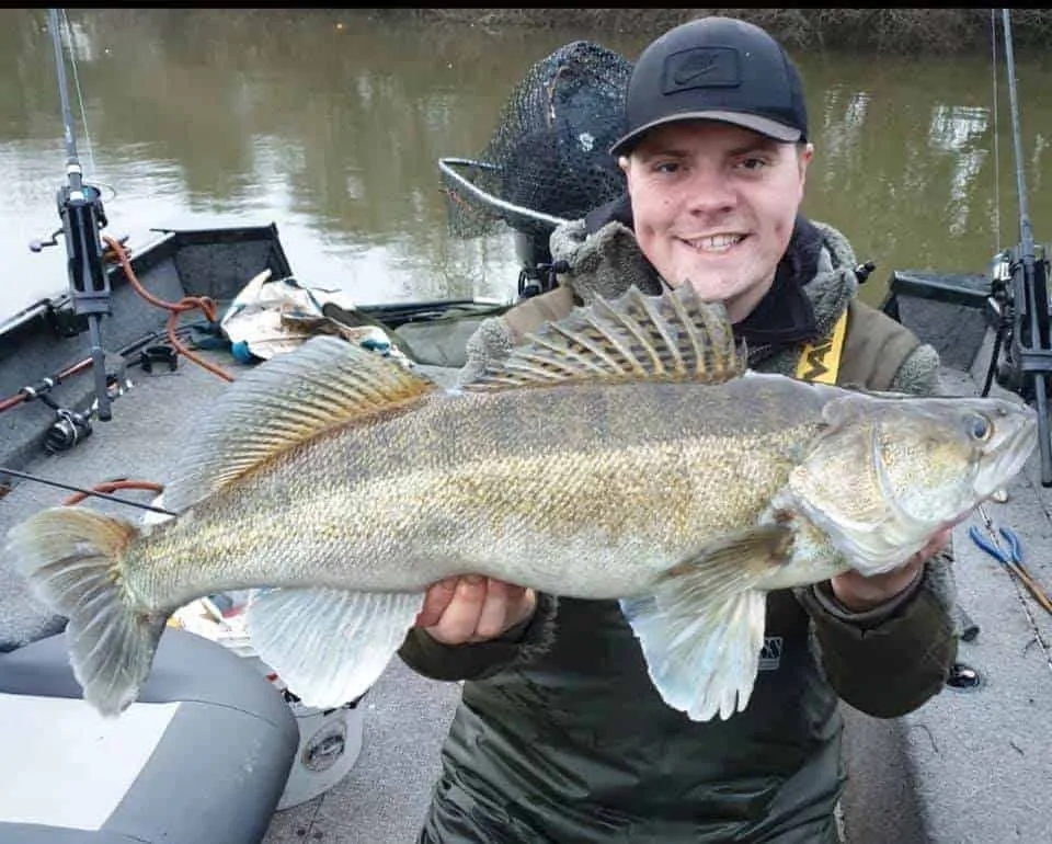 an angler holding a big zander that he has caught on a softbait using a thin wire trace suitable for zander fishing