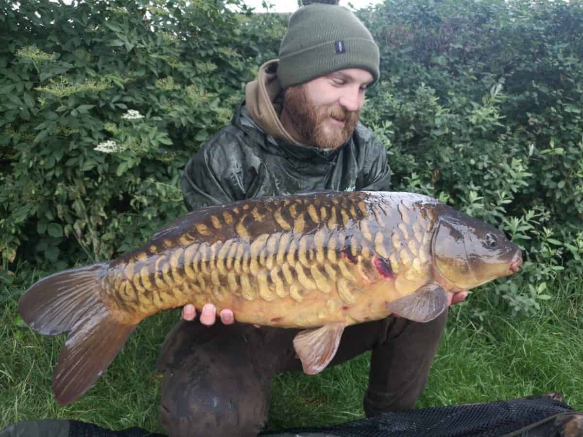 a carp fisherman with a long mirror carp that he has caught on a boilie