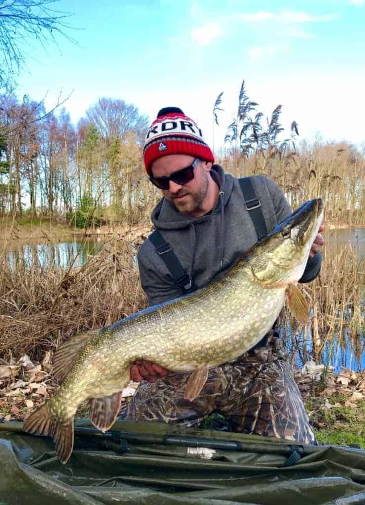 an angler holding a gigantic northern pike on a river bank 
