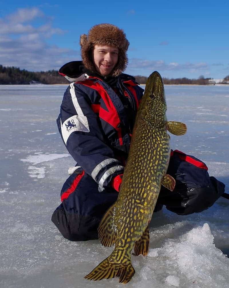 an ice angler on a lake holding a giant ice pike