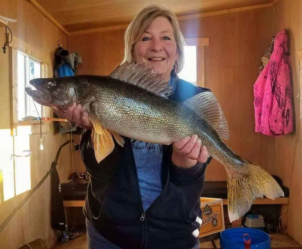 an angler in an ice house holding a big walleye