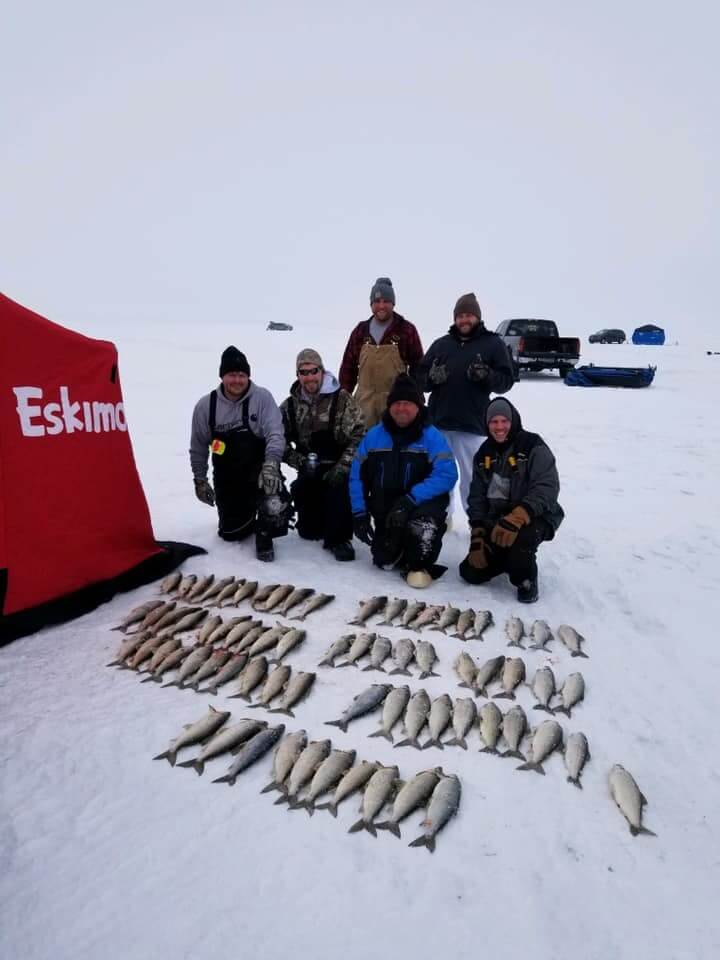 a group of ice anglers on a frozen Minnesota lake with a day's bag limit of tullibee