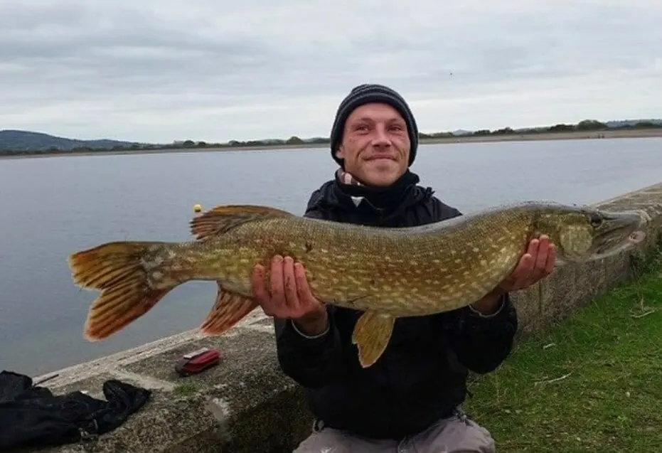 a pike angler holding a big pike that he has caught on a large lake during fall