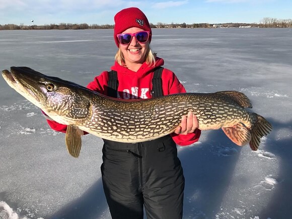 an ice angler on a frozen lake holding a really big northern pike