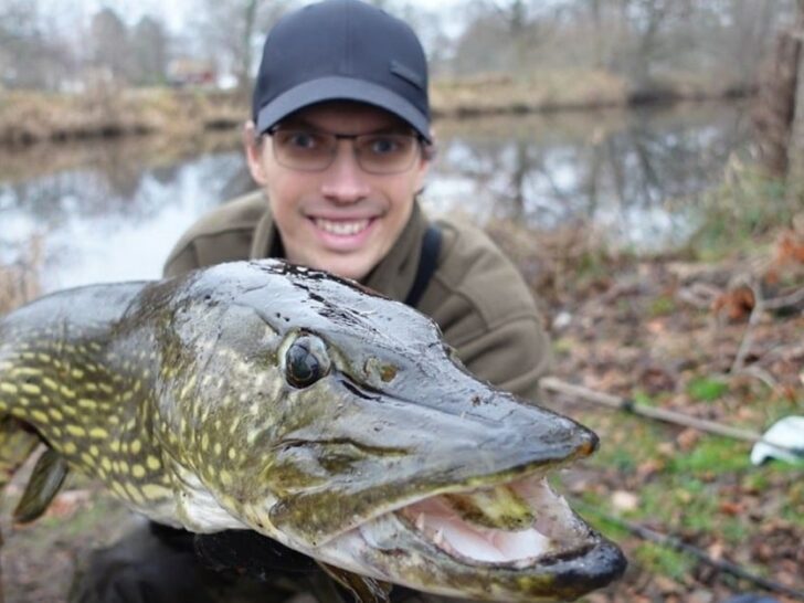 What Is the Best Time of Day for Pike Fishing?