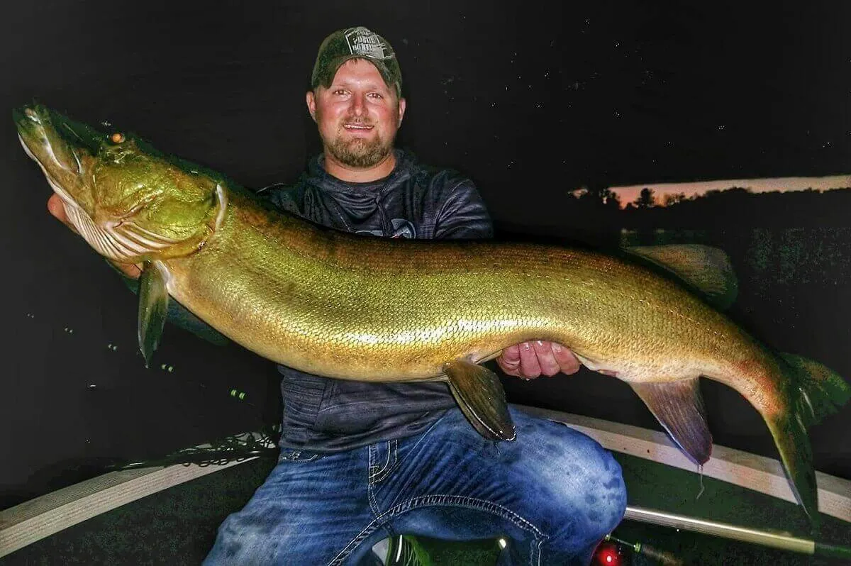 a fisherman holding a large muskie that he caught on a boat on a lake at night