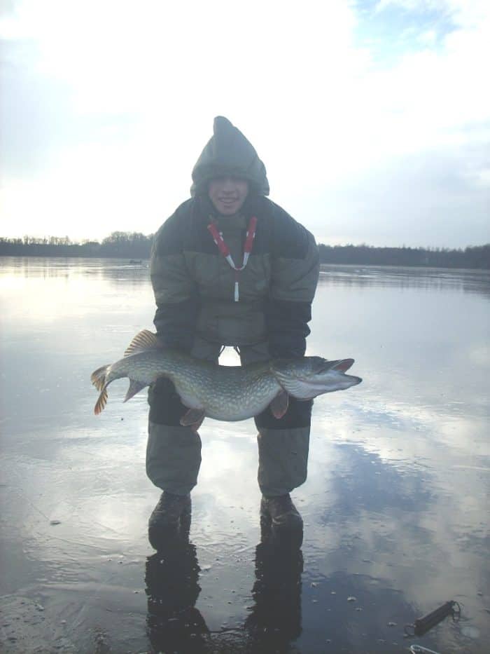 a fisherman on the ice holding a giant northern pike that he has caught on a tip-up