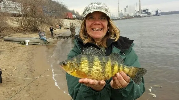 a female angler holding a big yellow perch