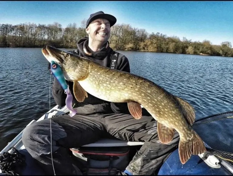 a happy fisherman on a boat holding a huge northern pike that he has caught on a lure and a fluorocarbon leader