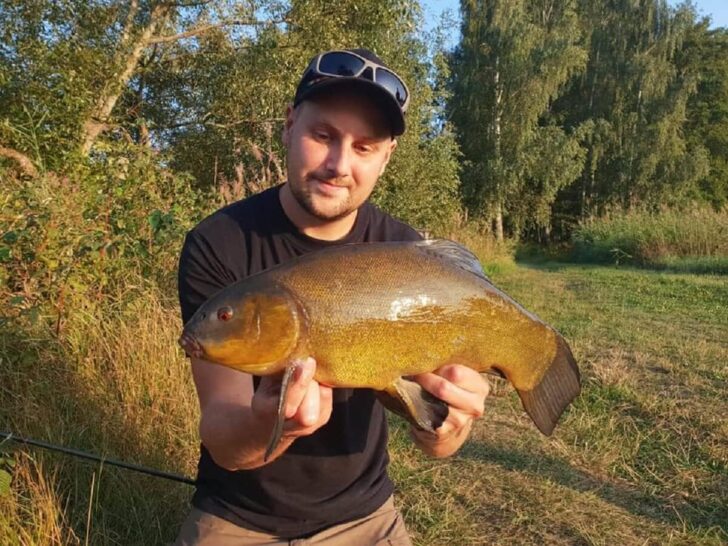 What Is the Best Groundbait for Tench?