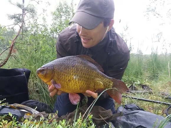a coarse angler holding a big crucian carp of 3lb that he has caught on a single sweetcorn using the lift method