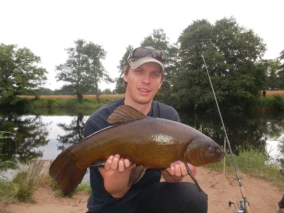 an angler holding a huge tench of almost 9 pounds that he has caught on the method feeder and a pair of sweetcorn.