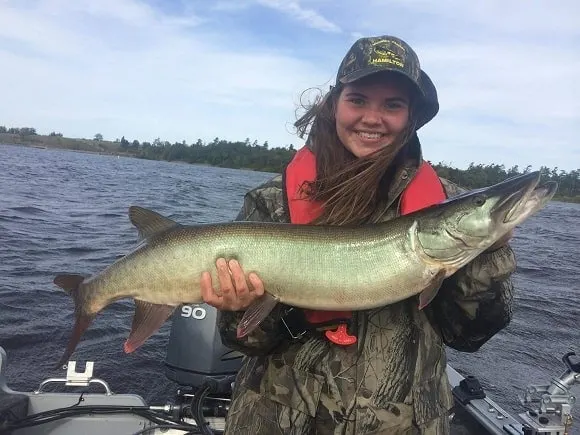 a female angler on a boat holding a big muskie that she has caught trolling a crankbait