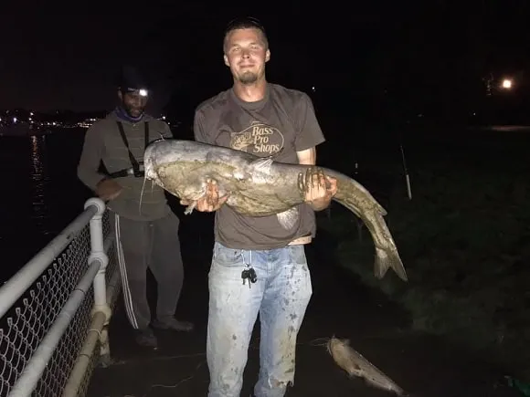 a American angler holding a big catfish that he has caught at night in a river