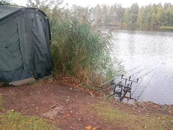 a rod pod with three rigged carp rods on it waiting for a bite